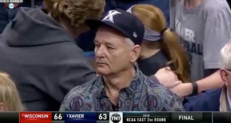 sadbillmurray