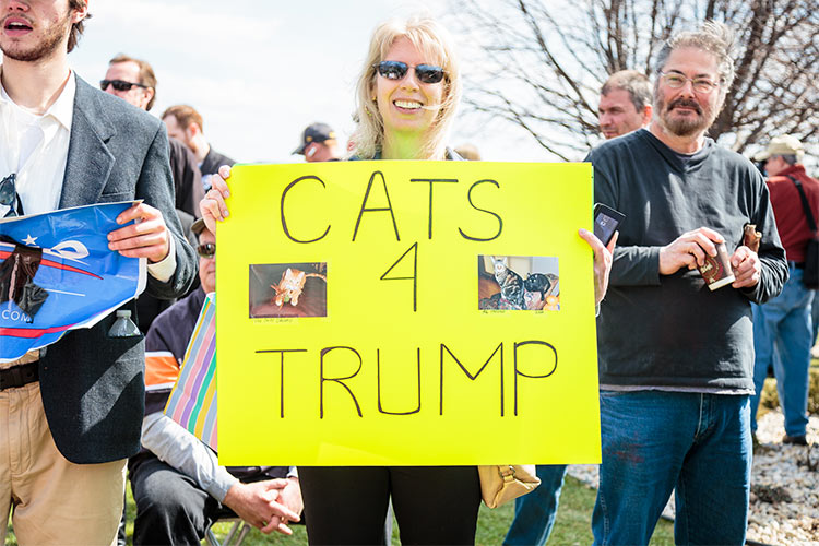 Another often overlooked demographic, Cats 4 Trump.