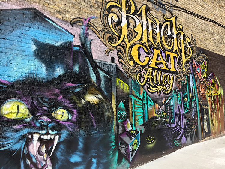 blackcat6