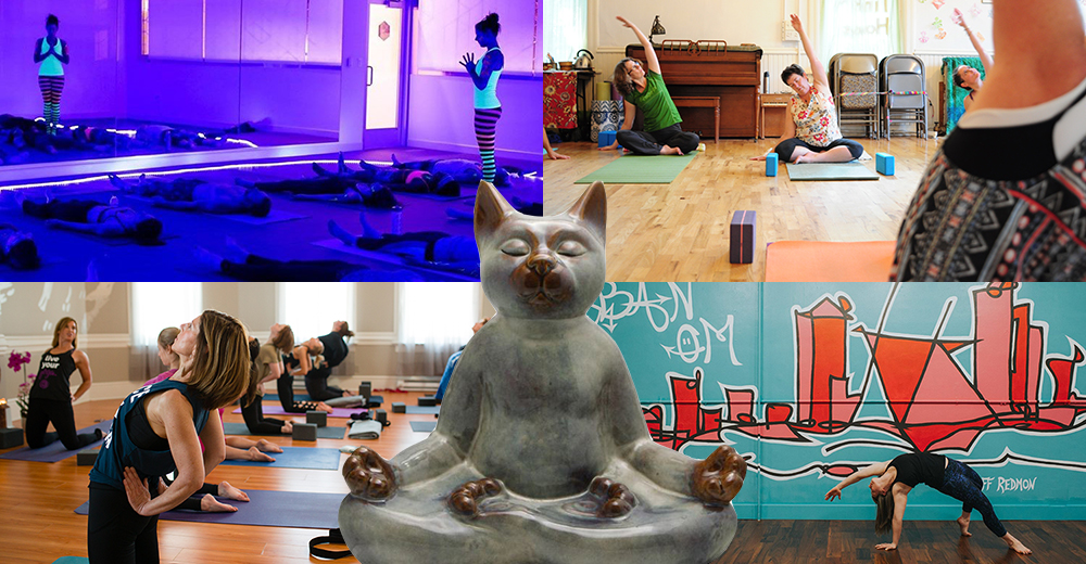 2017 Milwaukee yoga guide