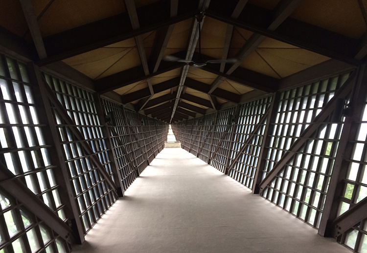 House On The Rock Is A Kitschy Wisconsin Treasure Shrouded