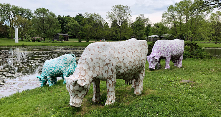 Artwork and nature collide at Lynden Sculpture Yard