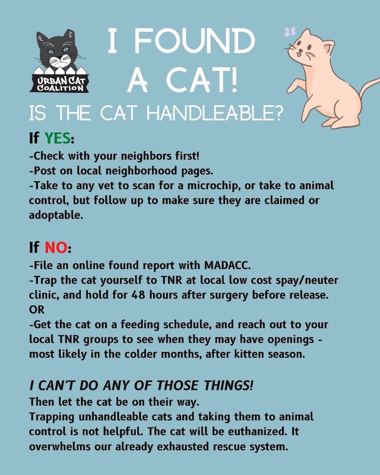 A handy guide to saving all the cats in Milwaukee