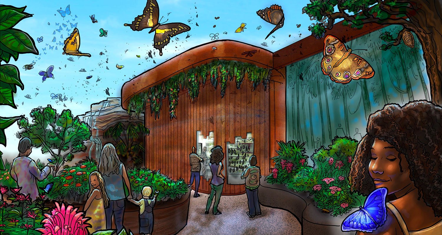 Milwaukee Public Museum previews future rainforest, butterfly vivarium