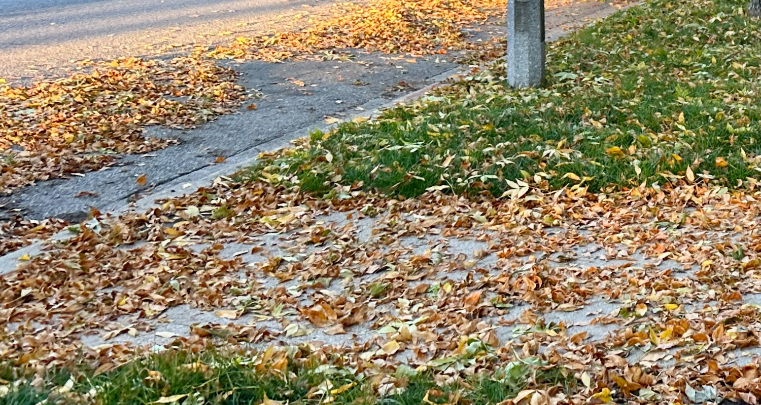 Fall leaf rake-out deadline extended