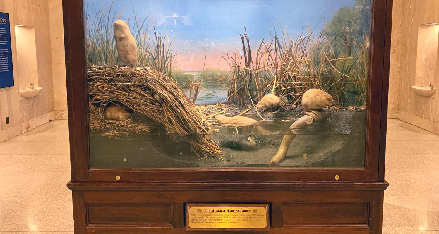 Entering final years, Milwaukee Public Museum unveils new exhibit