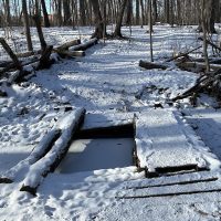 Listen to some of the best Milwaukee songs of the season on our “Winter 2026” playlist