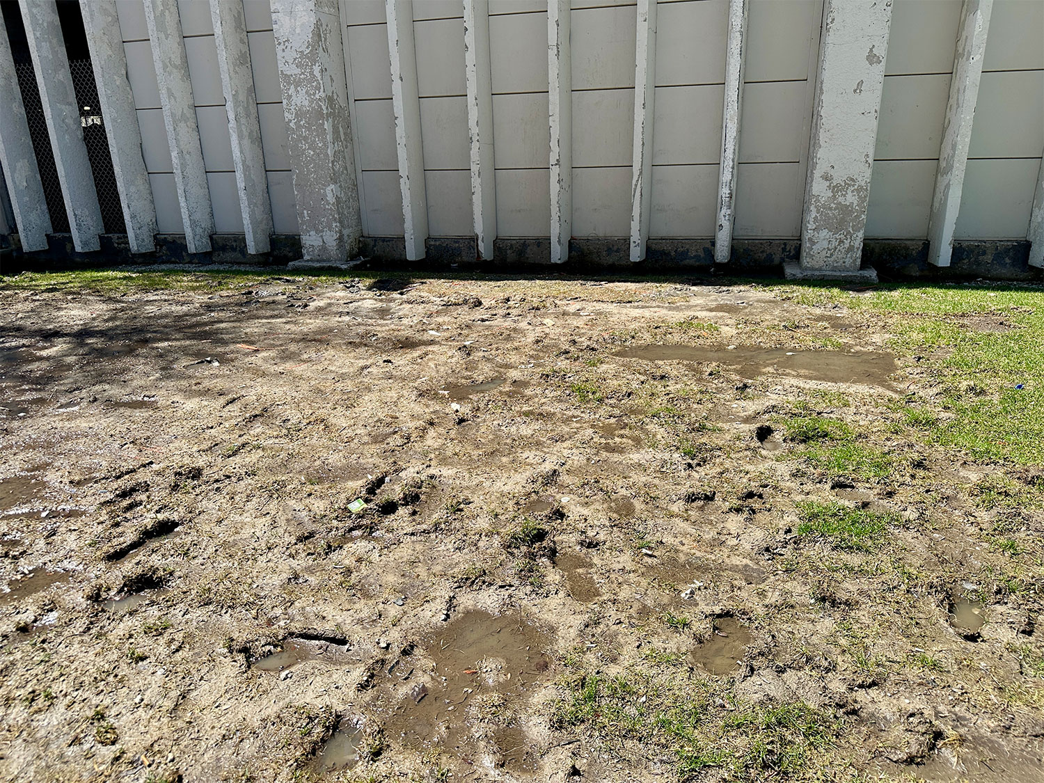 No more snow pile
