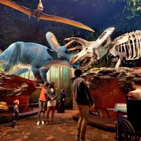 Reminder: Nature & Culture Museum of Wisconsin will have dioramas