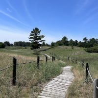 Kohler-Andrae State Park’s Cordwalk Trail might make you forget you’re in Wisconsin
