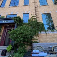 Sunday Sauce: Cat-sitting pays off at Sorella