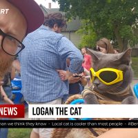 Watch Bert Lauderdale take the Riverwest Cat Tour