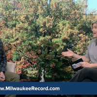 I dropped by ‘What’s Brewing Wisconsin’ to talk about fall festivals