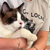 Milwaukee Record Cat Of The Week: Shaquille O’Neal