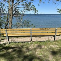My favorite park bench in Milwaukee County